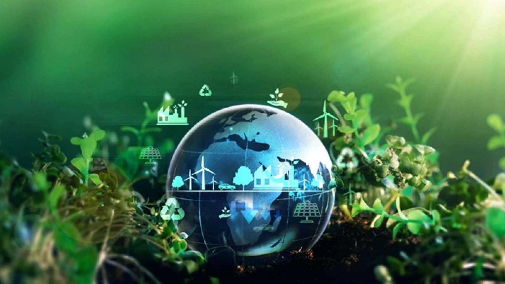 Navigating Dubai’s Real Estate Landscape: Expert Insights